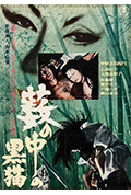《黑猫》封面