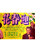 《迎春花》封面