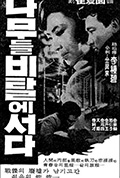 《树长在土坡上》封面