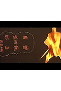 《独脚龙》封面