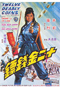 《十二金钱镖》封面