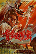 《盲剑凤舞》封面