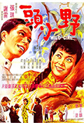《野丫头》封面