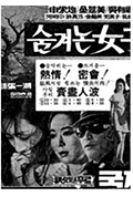《神秘女人》封面