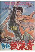 《돌아온 방랑자》封面