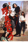 《野良猫洛克:女番长》封面