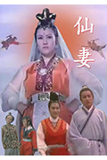 仙妻封面