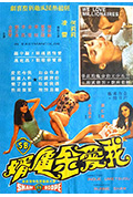 我爱金龟婿封面