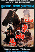 《山东响马》封面