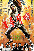 《独臂拳王》封面
