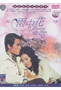 雨中花封面