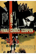 第41号女囚房封面