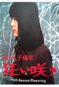淡季花开封面