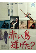 《红鸟逃跑了?》封面