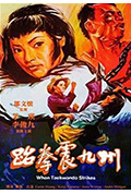 《跆拳震九州》封面