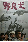 《野良犬》封面