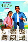 半篮花生封面