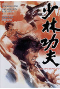 《少林功夫》封面