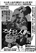 《작은 새》封面
