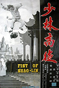 少林高徒封面