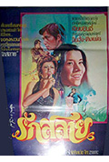 春天里的秋天封面