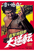 直击地狱拳 大逆转封面