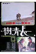《长青树》封面