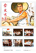 《金光大道(中集)》封面