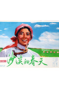 《沙漠的春天》封面