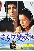 再见,夏日之光封面