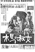 《木马与淑女》封面