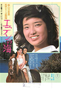 伊甸园之海封面