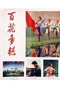 百花争艳封面