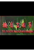 《桃花三娘子》封面