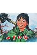《山里红梅》封面