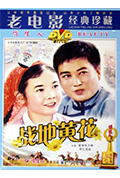 《战地黄花》封面