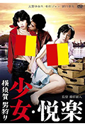 少女悦乐:横须贺猎男封面