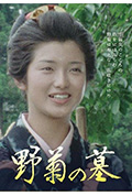 《野菊之墓》封面