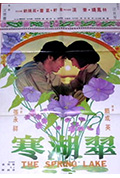 翠湖寒封面