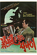 《抓住风暴的男人》封面