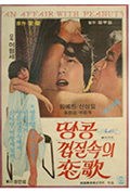 《花生壳里的恋歌》封面