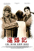 《逼婚记》封面
