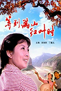 《等到满山红叶时》封面