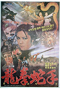 《龙拳蛇手》封面