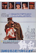 《动乱》封面