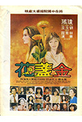 《金盏花》封面