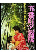 《五番町夕雾楼》封面