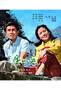 《庐山恋》封面