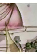 《三分钟纸上世界历史》封面