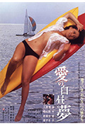 爱的白日梦封面